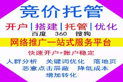 谷歌SEM与移动端优化：某APP的推广策略及效果